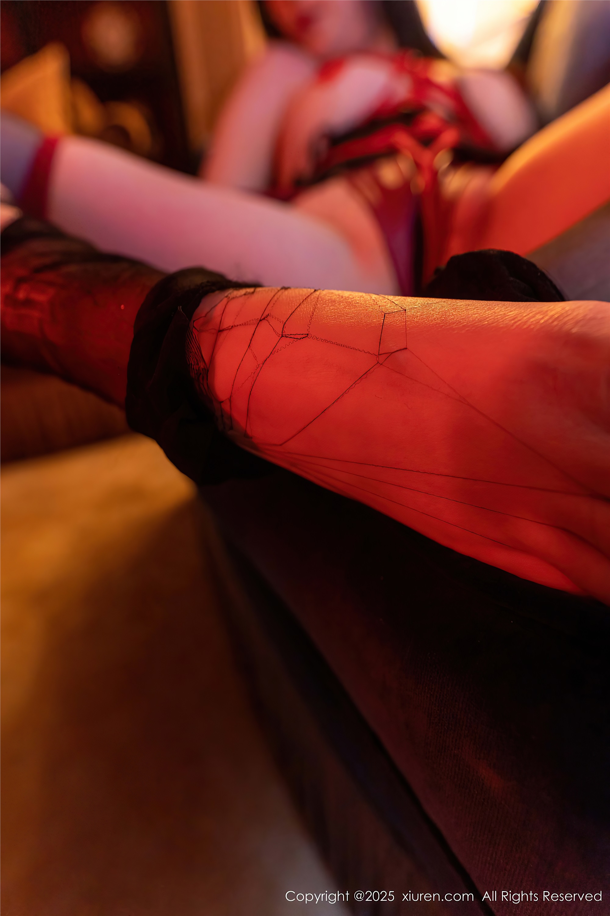 Xiuren秀人网 2025.02.17 NO.9891 软情